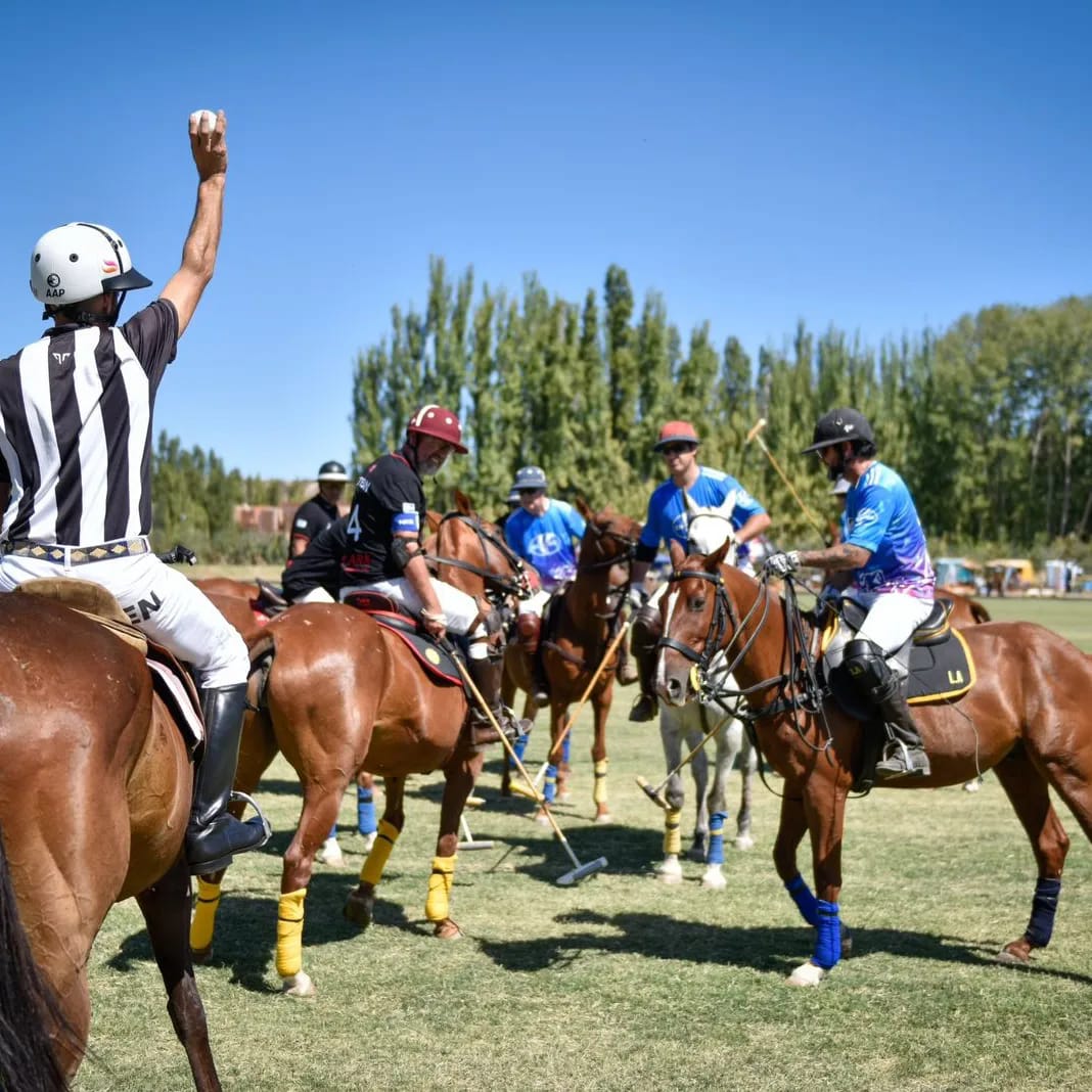 polo