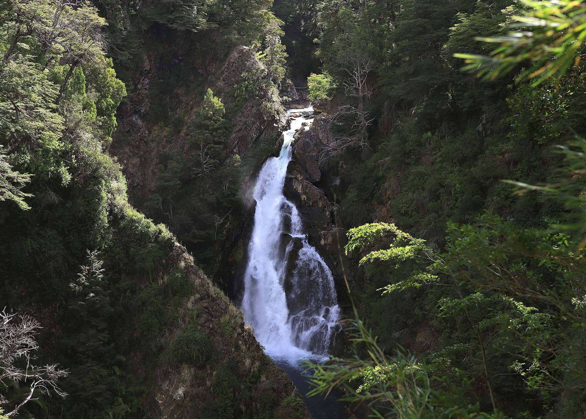 Chanque Que hacer - Volcanes y pehuenes - Turismo Neuquen
