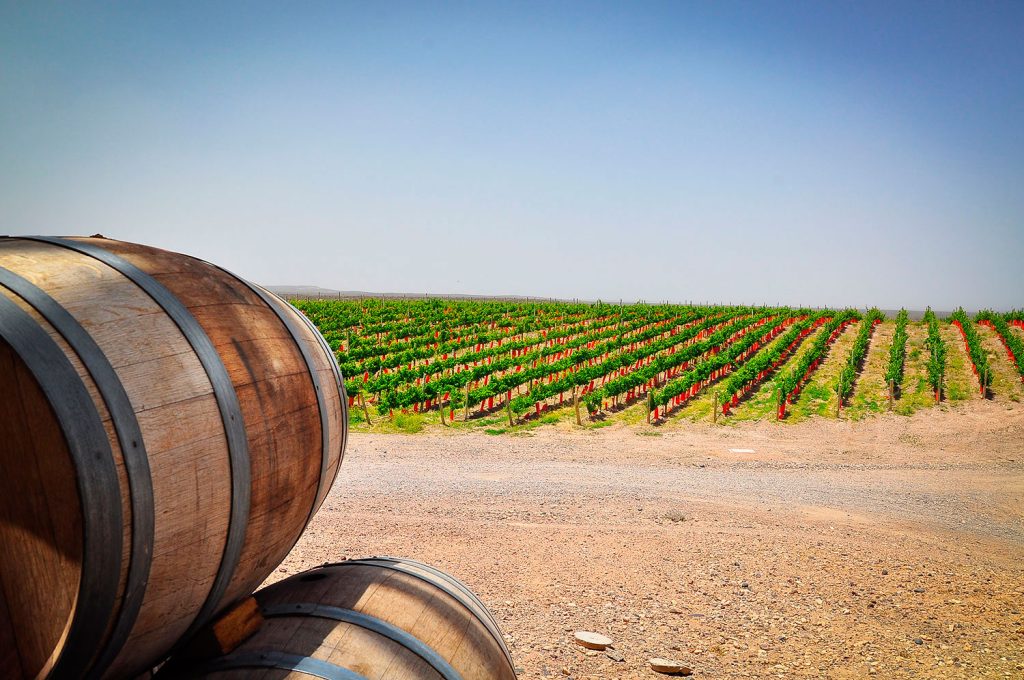 Bodega-Patriti-Ruta-del-Vino-San-Patricio-del-Chañar