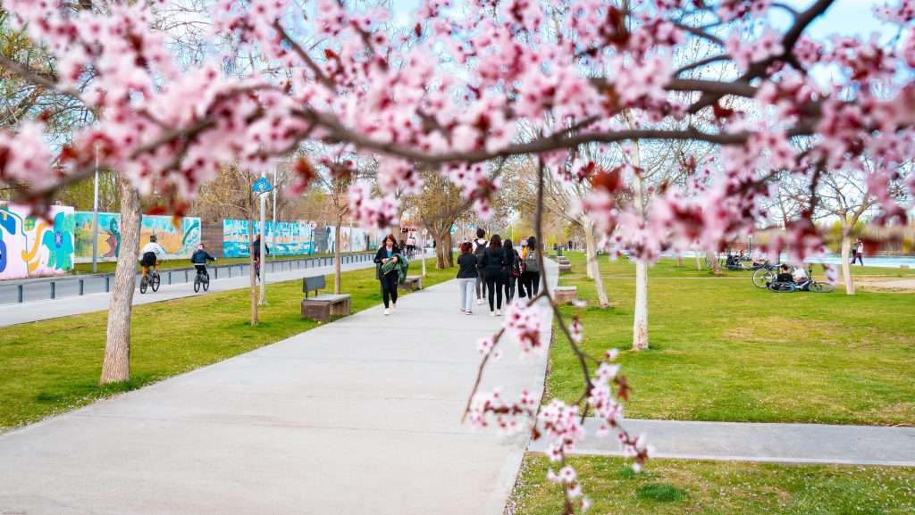 Neuquén Capital-43 paseo de la costa en primavera