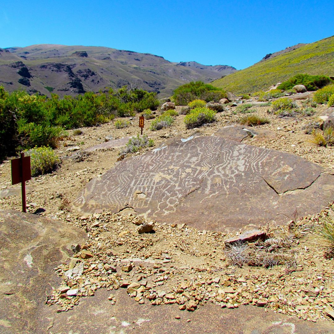 Christián Javier Raúl PFOH - Turismo Neuquen