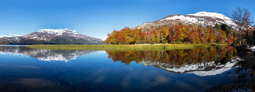 Lago Falkner otoño