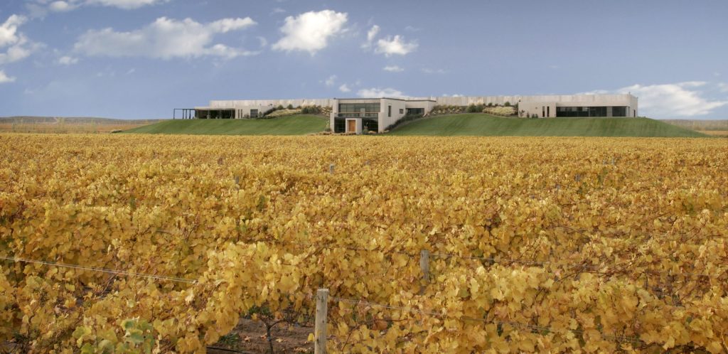 Bodega Malma