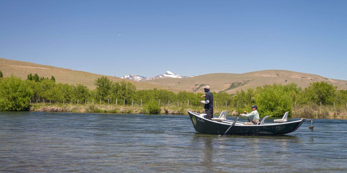 Pesca-Chimehuin-JAndes-8_alta